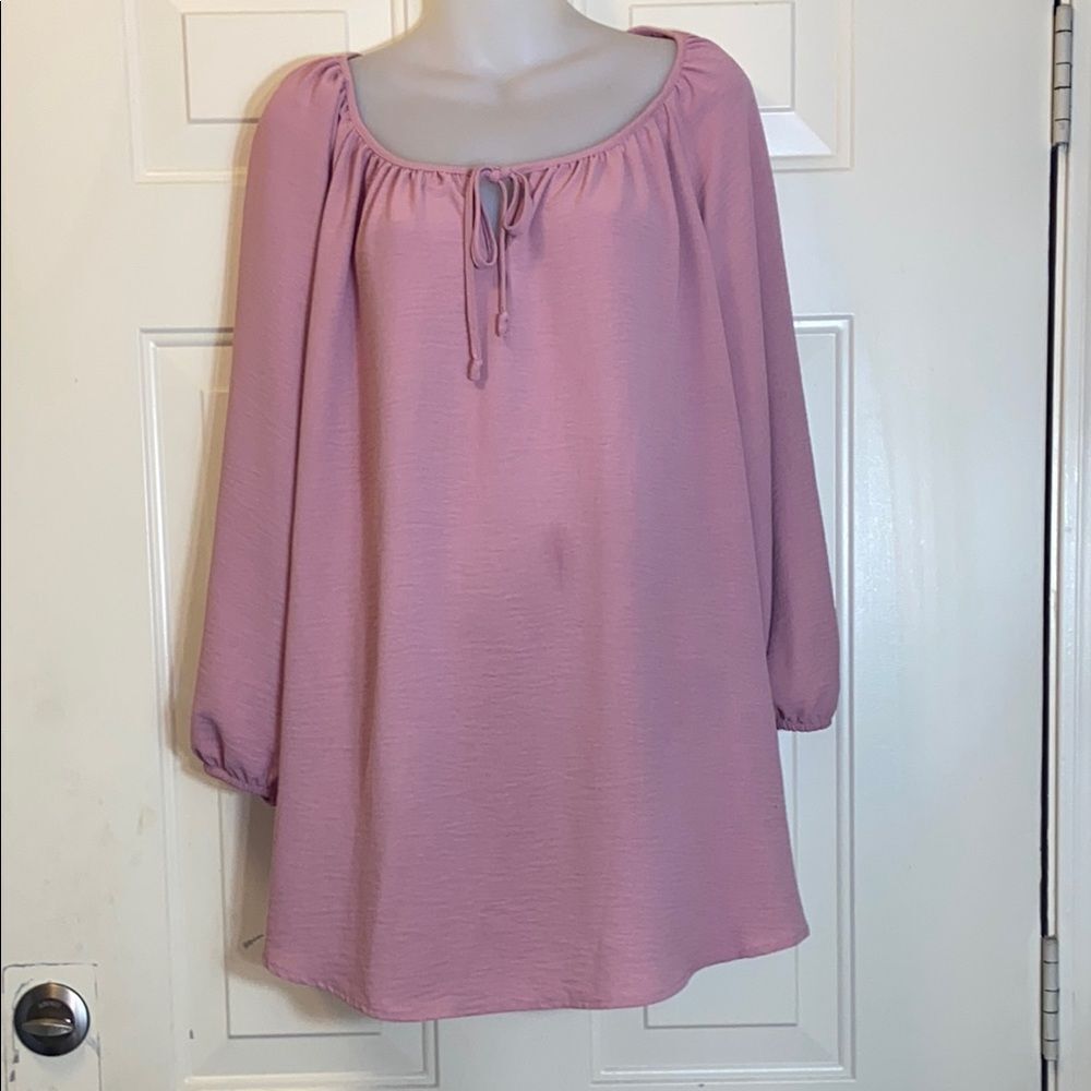 Como Blue Women's Pink Blouse Plus 2x
